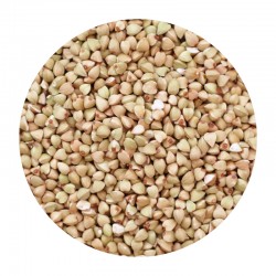 Buckwheat