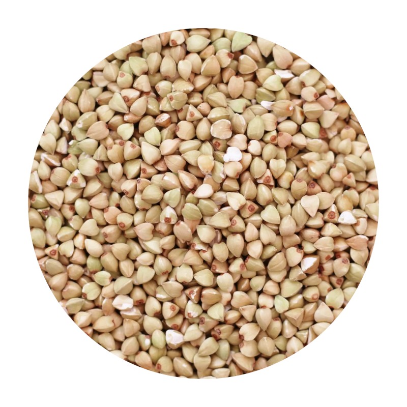 Buckwheat