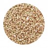 Buckwheat