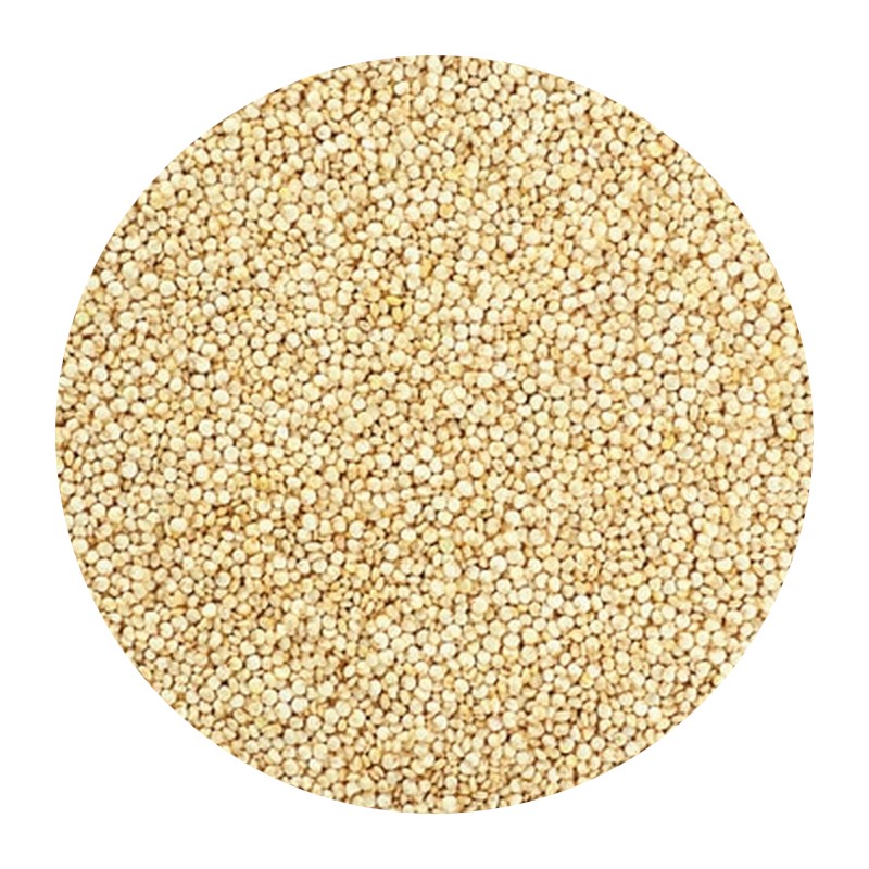 White Quinoa