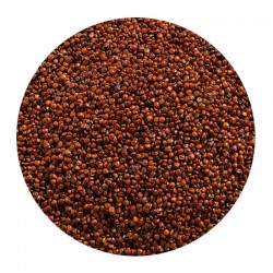 Red Quinoa