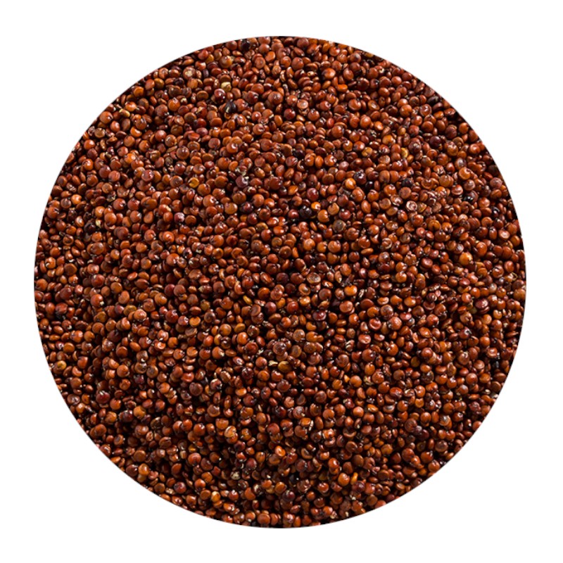 Red Quinoa