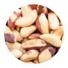 Brazil Nuts