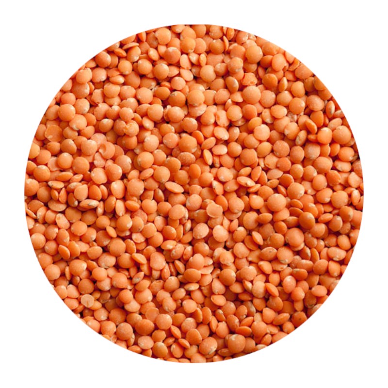 Red Lentils