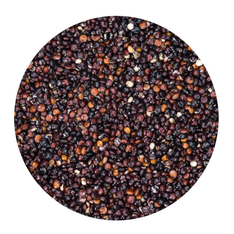 Black Quinoa