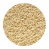 Brown Basmati Rice