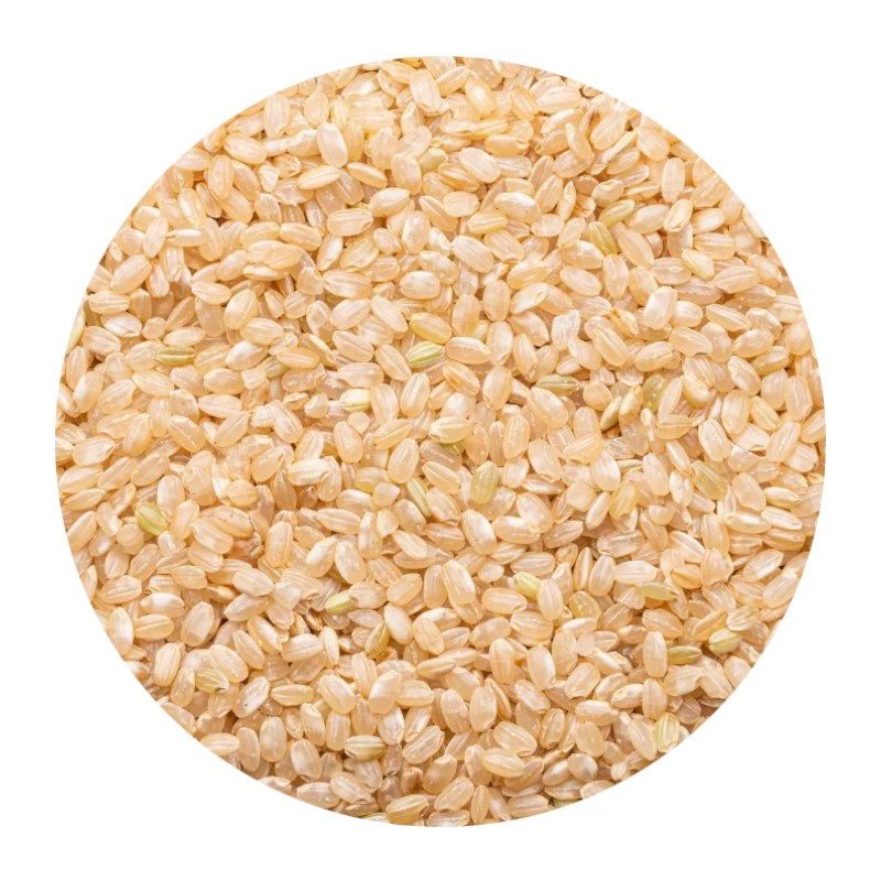 Short Grain Brown Rice