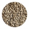 Sunflower Seeds