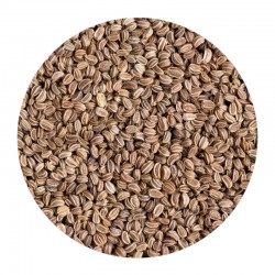 Celery Seeds