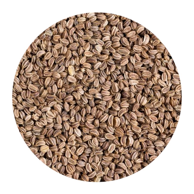 Celery Seeds