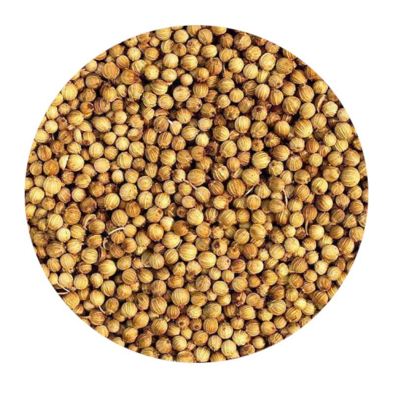 Whole Coriander