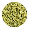 Fennel Seeds