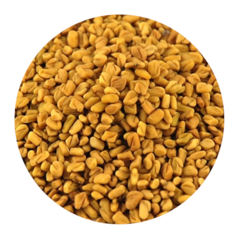 Fenugreek Seeds