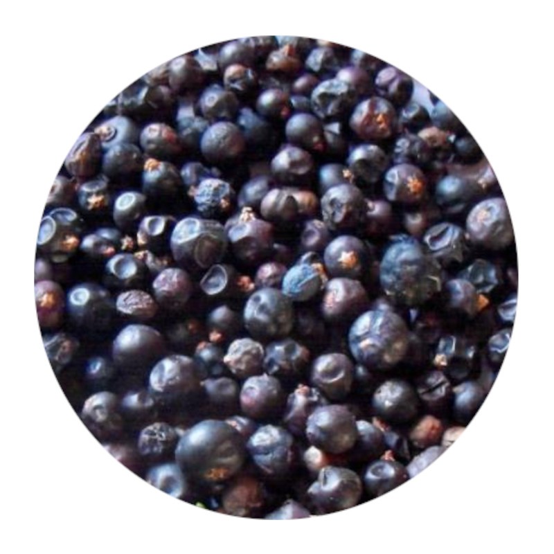 Dried Juniper Berries